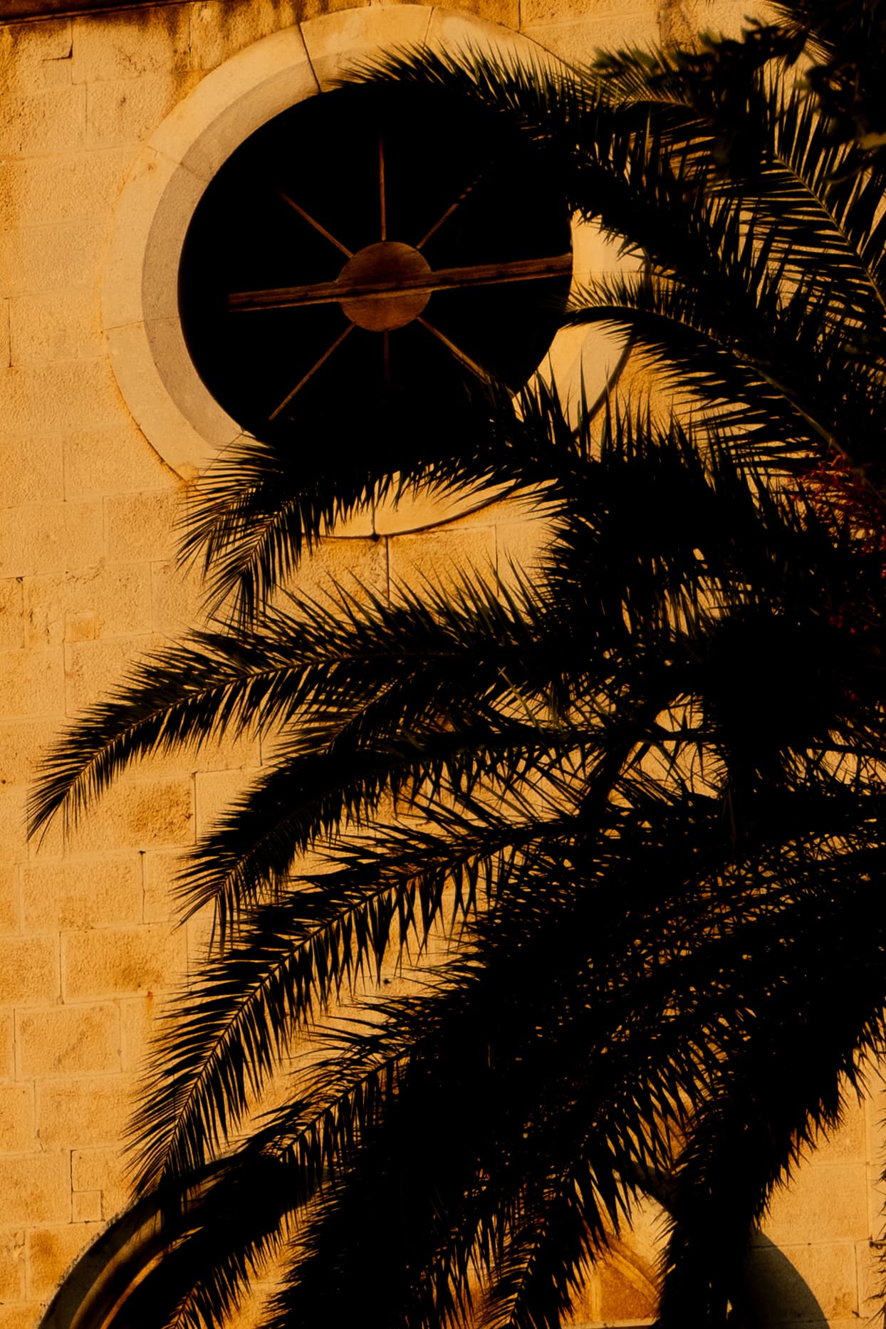 Wall02_03_x3xizc